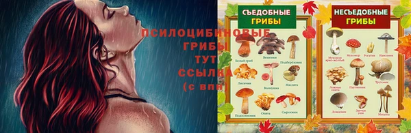 кристаллы Заволжье