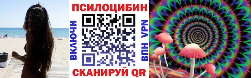 Галлюциногенные грибы GOLDEN TEACHER  цены наркотик  Пустошка 