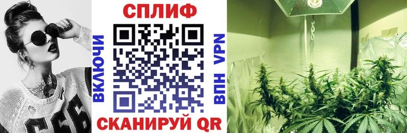 Каннабис тримм  закладка  Пустошка 
